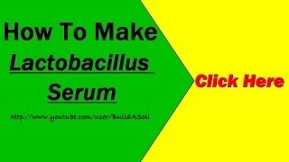 DIY Lactobacillus Serum Video tutorial and instructions [upl. by Airekahs]