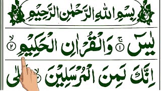 Morning Surah Yasin Yaseen Recitation  سورہ یس  Surah Yaseen with Translation  Episode 292 [upl. by Bevon433]