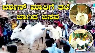 Darshan Makes An Angry OX Cool  Darshan Speaks to Angry OX  Darshan in Mandya [upl. by Roselyn]