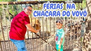 FÉRIAS NA CHÁCARA DO VOVÔ  RONNY FILHO MOSTRA AS PLANTINHAS  ferias [upl. by Chavey]