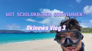 Mit Schildkröten schwimmen Zamami Island  Okinawa Vlog 3 [upl. by Lletnahs]