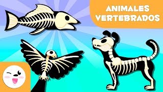 ANIMALES VERTEBRADOS para niños  Mamíferos aves reptiles peces y anfibios [upl. by Semyaj]