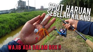 Casting Haruan  Spinner Bait Amir Ramly Killer Haruan  Opass Bull Power 1000 SW  Vlog181 [upl. by Narag667]