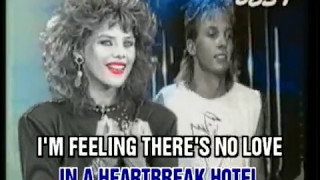 CC Catch  Heartbreak Hotel  Lyrics [upl. by Akitahs313]