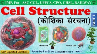 Cell structure human cell । कोशिका संरचना। animal cell amp plant cell class 891011mp4 [upl. by Luckett863]