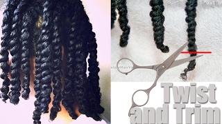 Twist and Trim  How I Trim My Hair Curly [upl. by Lula]