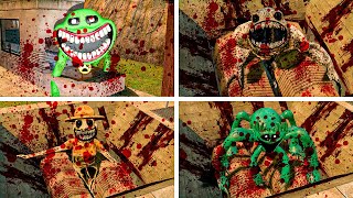 NEW ZOONOMALY ALL MONSTER FAMILY AND FEARFUL FROG SNIDEY SPIDER TORTURE Garrys Mod [upl. by Wilsey]