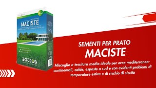 SEMENTI PER PRATO  Maciste a base di Festuca arundinacea [upl. by Hamid]