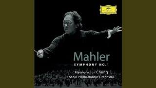 Mahler Symphony No 1 in D  4 Stürmisch bewegt [upl. by Hattie625]