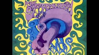 THE SACRED MUSHROOM  Catatonic Lover 1969 [upl. by Copland715]