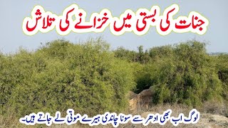 700 Years Old Deserted And Mysterious Giants Township In Forest Of Nihang Sahiwal tahirshahvlogs [upl. by Trillby]