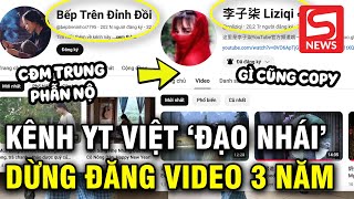 Netizen xứ Trung tố Youtuber Việt bắt chước Lý Tử Thất cả việc quotngừng đăng video trong 3 nămquot [upl. by Tilda]