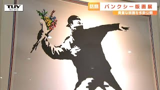 アートで風刺メッセージ…あのバンクシーが山形に 日本にしかない貴重な作品も（天童市）Works by mysterious artist Banksy come to Yamagata [upl. by Dnalon]