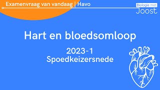 14 Examenvraag van vandaag  Havo  20231 Spoedkeizersnede [upl. by Bigner]