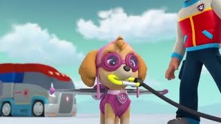 PAW Patrol Pups Save A HerdPups And The Curse Of The Mandy Part 7  PAW Patrol FULL HD [upl. by Girovard]