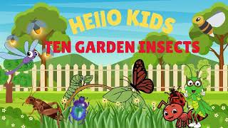 10 garden Insects kids learning insects knowledge garden insects information cartoons [upl. by Orabelle]