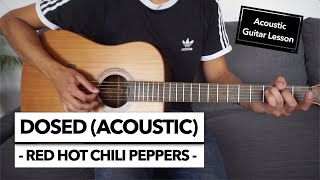 Dosed  Red Hot Chili Peppers  Acoustic Guitar Lesson  Solo [upl. by Margery]