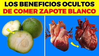 INCREIBLES BENEFICIOS de Comer ZAPOTE BLANCO para tu cuerpo esto ocurre con tu corazón y colon [upl. by Llenyar]