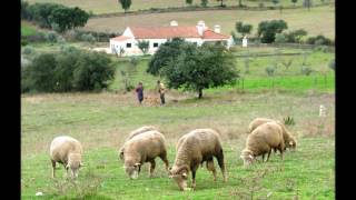 Venham ver o Alentejo [upl. by Wiggins]