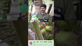 Kannada  Coconut Online Farmer MrArun giving feedback about our Cocomax result [upl. by Christos]