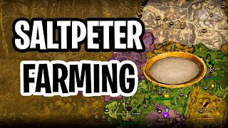 BEST PLACE TO FARM SALTPETER IN NEW WORLD [upl. by Ennylyak]