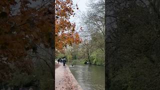 Cotswold on 60 seconds nature cotswoldvillages travel countryside naturephotography natureshot [upl. by Adnaerb]