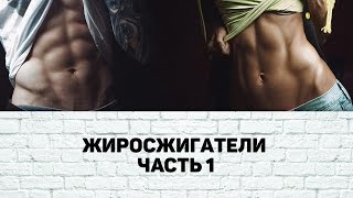 Жиросжигатели Часть 1 [upl. by Benetta]