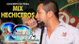 ESPLENDIDOS DE SALVIA ►MIX HECHICEROS  EN VIVO  EX POLVORINESPIURA [upl. by Erdua465]