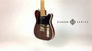 Moniker Guitars Design Series  Rosewood Dixie [upl. by Reidid253]