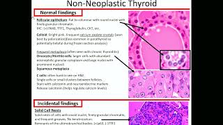 NonNeoplastic Thyroid Kurts Notes pathagonia [upl. by Tegdig]