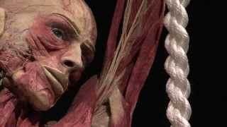 Opening BODY WORLDS The Happiness Project in Amsterdam [upl. by Alrahs560]