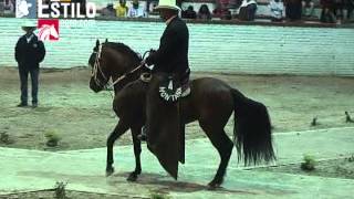 Gran Campeonato de Caballos Paso Fino Colombiano  Sogamoso 2013 [upl. by Esten]