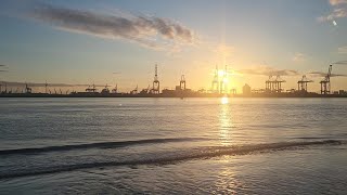 Perch Rock  video 11  Thornback ray fishing River Mersey [upl. by Fillander]