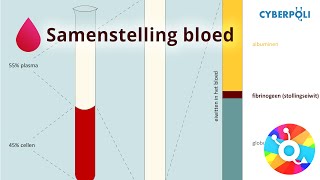 Samenstelling  Bloed [upl. by Rehpotsirk19]