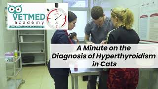 A Minute on the Diagnosis of Hyperthyroidism in Cats [upl. by Sliwa]