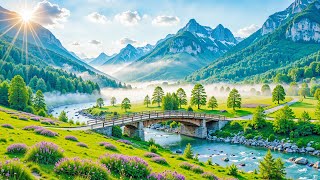 Gentle Relaxing Music 🌿 Calm Overthinking Stress Relief Piano in Nature 1 [upl. by Marti]