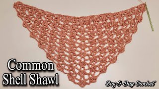 EASY Crochet Shawl Tutorial  Common Shell Stitch Shawl [upl. by Zerline]