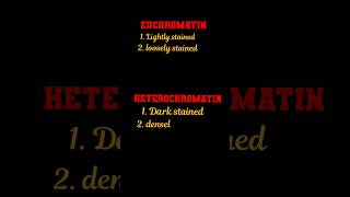 difference between euchromatin and heterochromatin l biology [upl. by Craggie]