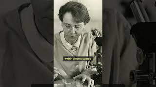 Jumping Genes Barbara McClintock’s Breakthrough in Geneticsbiology [upl. by Maier699]