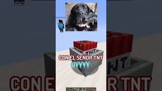 Creo que su bloque no era una TNT minecraft shorts [upl. by Ablem1]