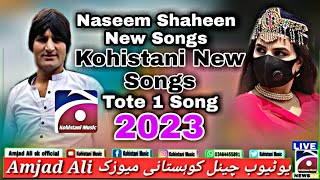 Naseem Shaheen New Songs 2023 Kohistani New Songs 2023 naseem shaheen new song Kohistani Music [upl. by Gnen15]