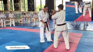 How to do Ushiro Mawashi [upl. by Nila]