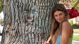 Hippie Beginnings  Hannah Stocking [upl. by Pollyanna470]