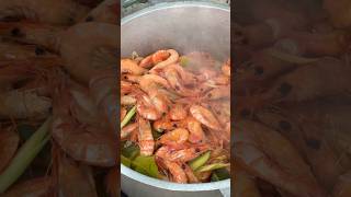 Yummy Cooking Shrimp Recipes  Easy way to cook cooking shrimp recipes imp [upl. by Llevra]