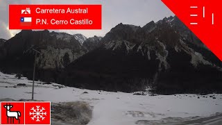 🦌 Huemules y ❄️ Nieve  CarreteraAustral  🇨🇱 Parque Nacional Cerro Castillo [upl. by Ardna191]