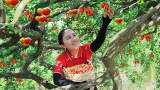 Harvest Acerola Cherry Goes to the market sell  Delicious fruit dishes  Emma Daily Life [upl. by Aisatana]