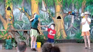 Zoomarine Bird Show [upl. by Lekim30]