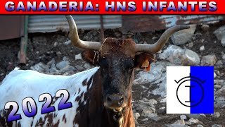 GANADERIA HNOS INFANTES 2022 [upl. by Yadsnil522]