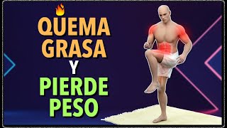 Ejercicios de Cuerpo Completo de 20 Minutos para Quemar Grasa y Perder Peso [upl. by Ainimreh]