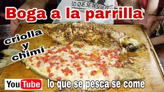 Boga a la parrilla  criolla y chimi  receta [upl. by Keeler]